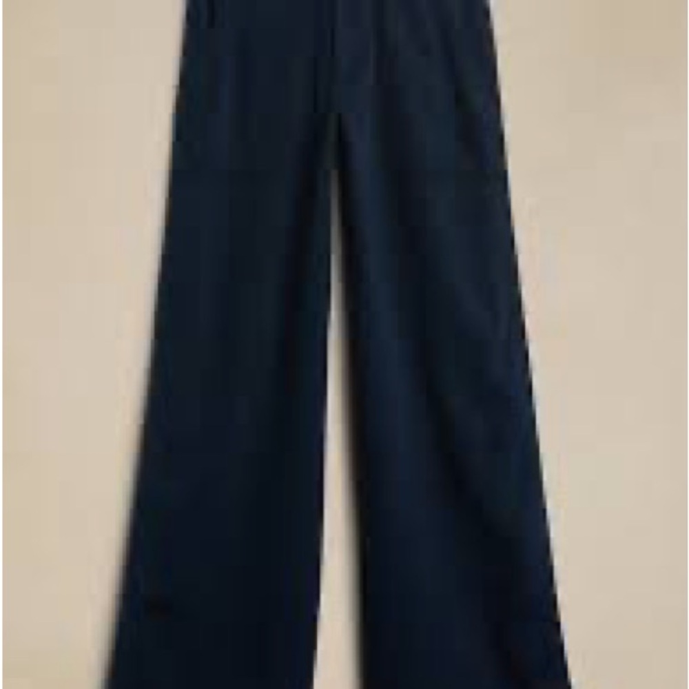 Banana Republic Navy Wide Leg Pants